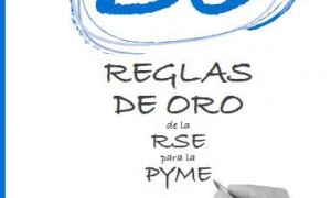 guia Pyme
