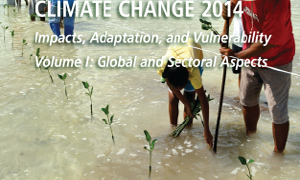 quinto informe cambio climático